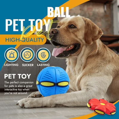 Pro Bouncing Pet Toy Ball