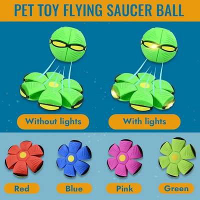 Pro Bouncing Pet Toy Ball